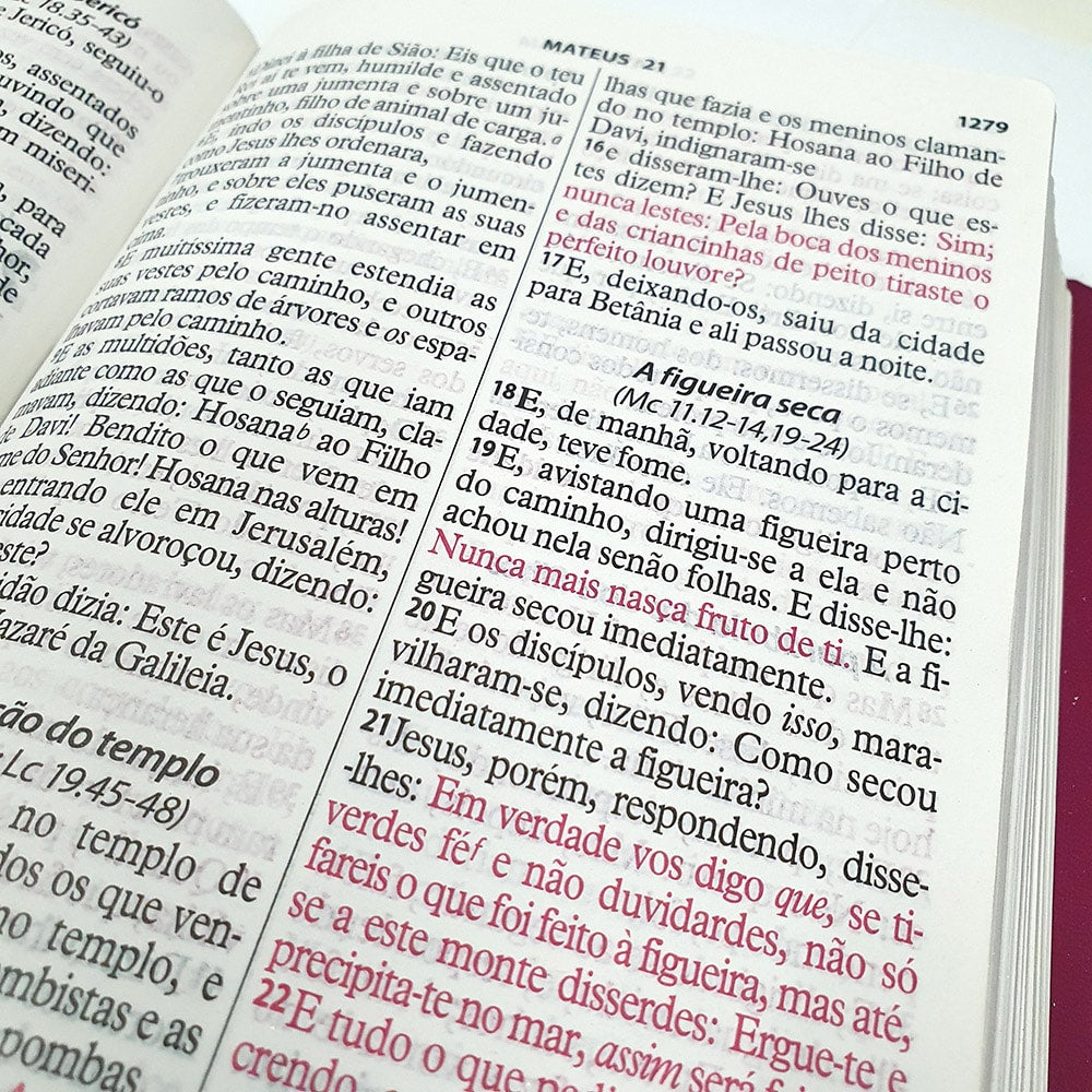 Bíblia da Mulher Vitoriosa | Letra Gigante | ARC | Branca
