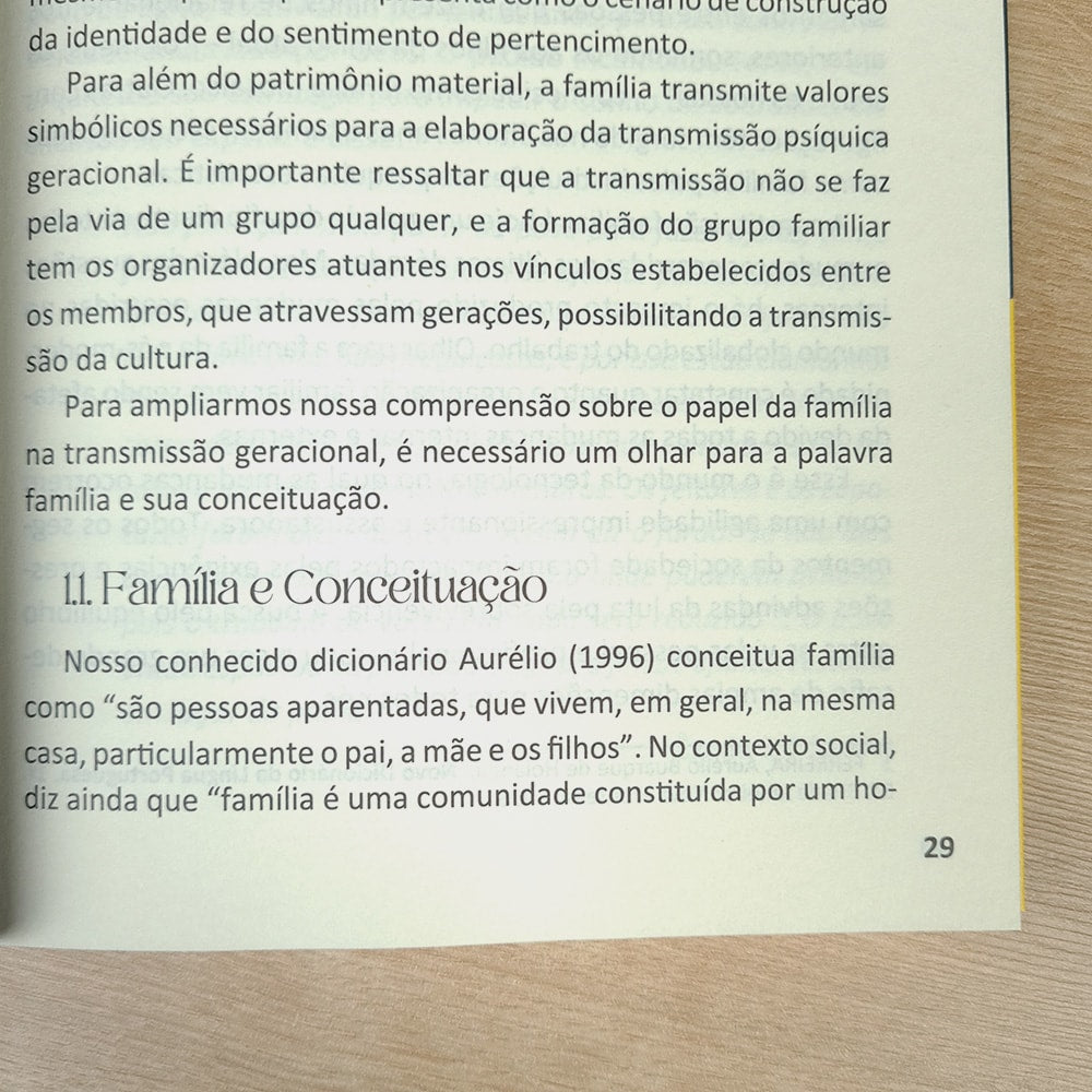 Família Lugar de Refúgio ou Campo de Batalha? | Ilma Luci Gomes Cunha