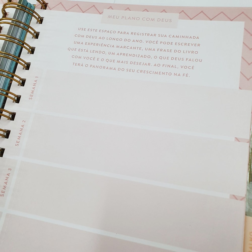 Meu Plano Perfeito | Capa Tecido Rosa