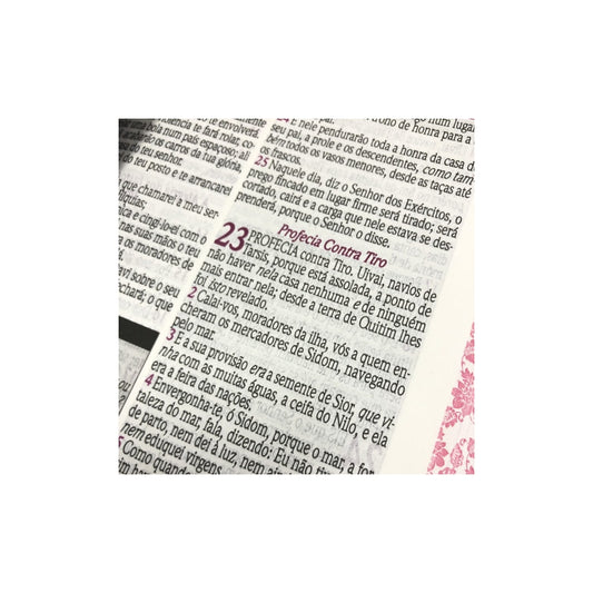 Bíblia de Estudo da Mulher Sábia | ARC | Harpa Avivada | Capa Rosas Bordô