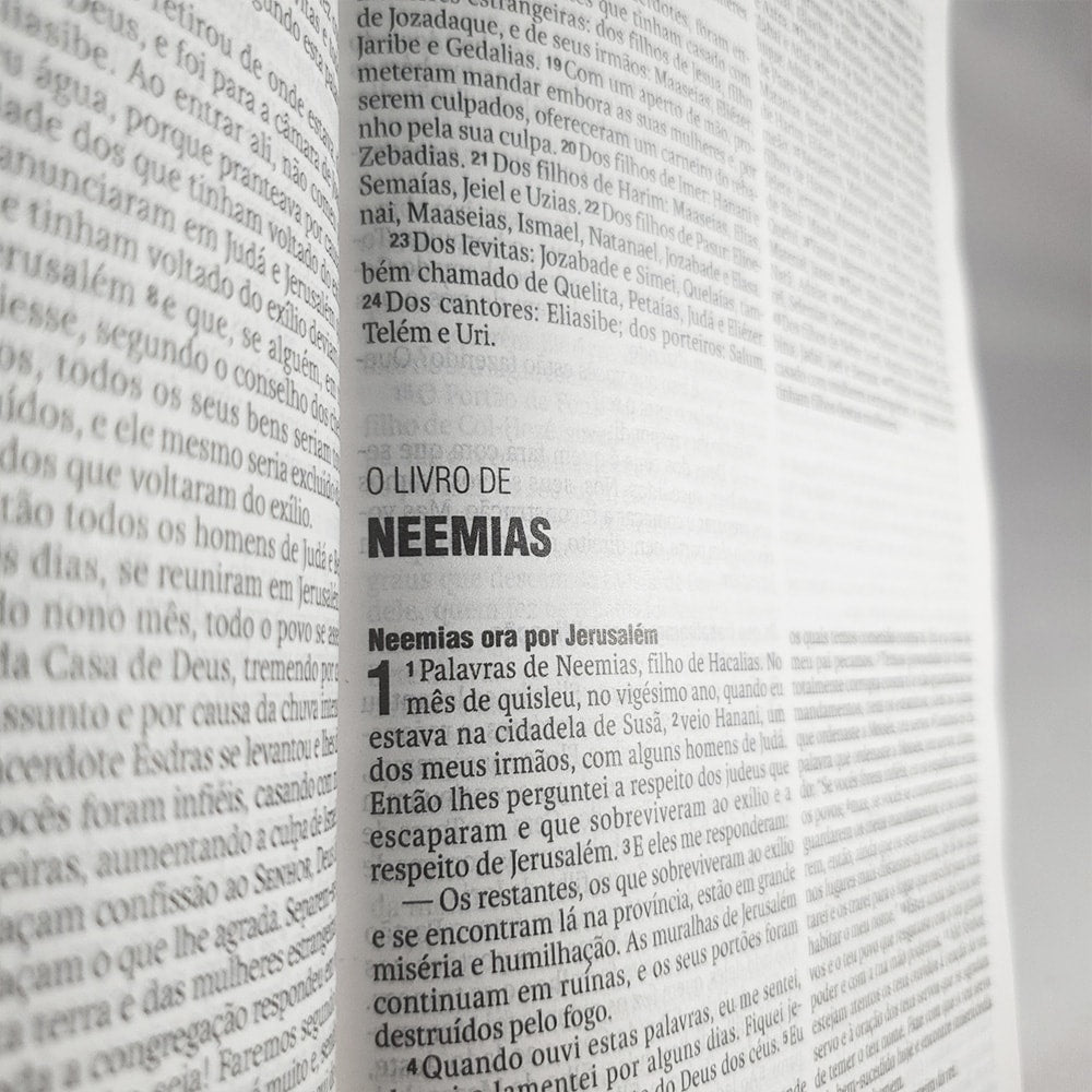 Bíblia Leão Cinza | NAA Letra Normal | Capa Dura