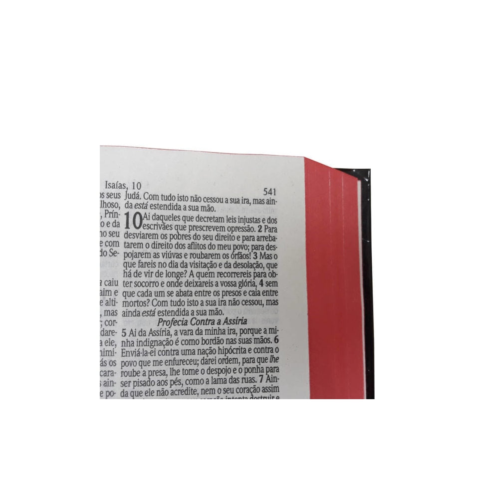 Bíblia Sagrada Média com Zíper | Letra Normal ARC | Harpa Avivada e Corinhos | PU Vermelho