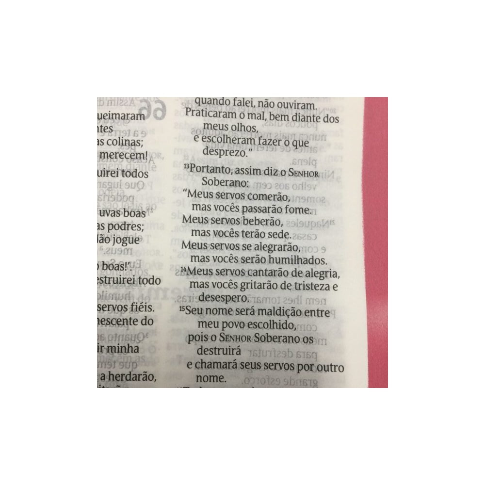 Bíblia Indian Flowers | NVT Letra Grande | Capa Soft Touch