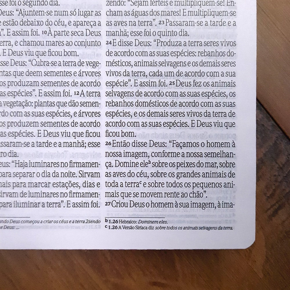 Bíblia Sagrada Fala Comigo Jesus | NVI | Letra Gigante | Nova Ortografia Capa Dura