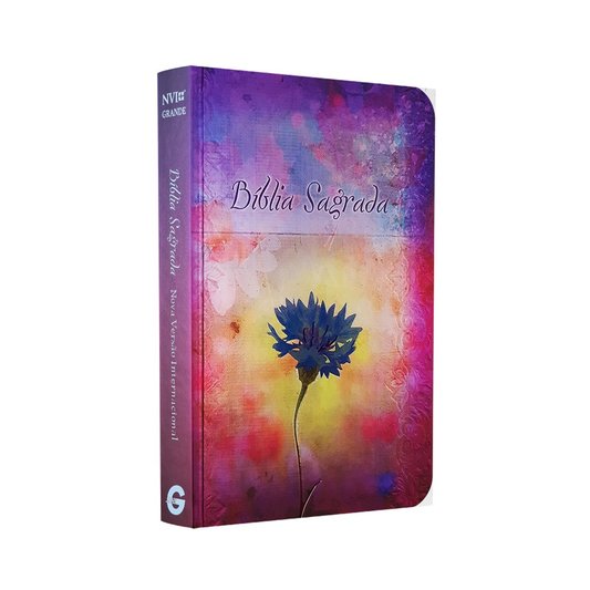 Bíblia Sagrada Fala Comigo Jesus | NVI | Letra Gigante | Nova Ortografia Capa Dura