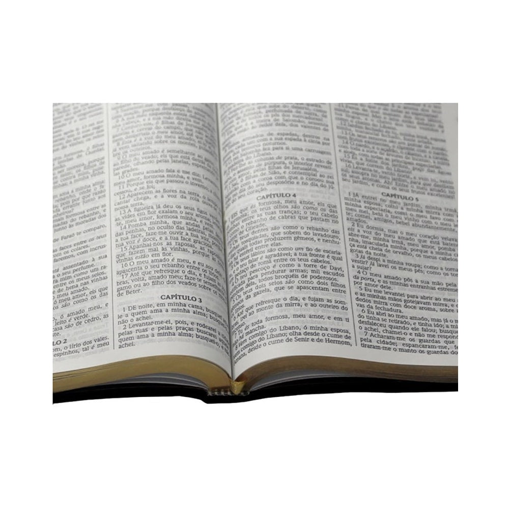 Bíblia Sagrada Slim | ACF | Letra Grande | Capa Caramelo Luxo