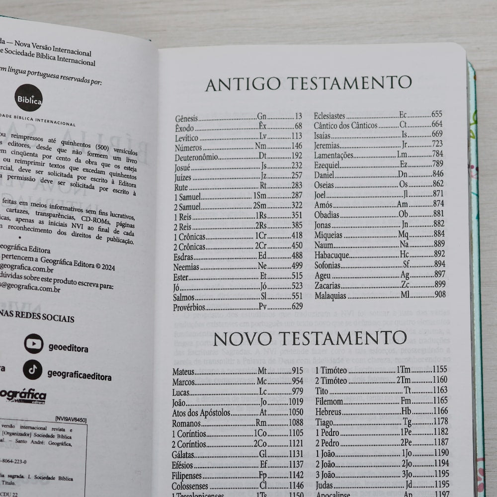 Bíblia Um Tempo Especial com Deus | NVI | Letra Grande | Capa Dura Pássaros