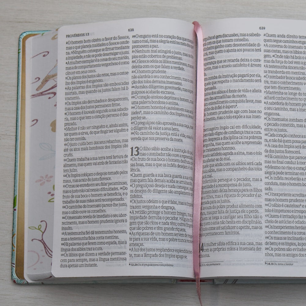Bíblia Um Tempo Especial com Deus | NVI | Letra Grande | Capa Dura Pássaros