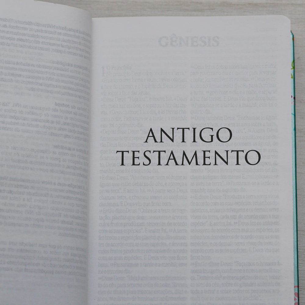 Bíblia Um Tempo Especial com Deus | NVI | Letra Grande | Capa Dura Pássaros