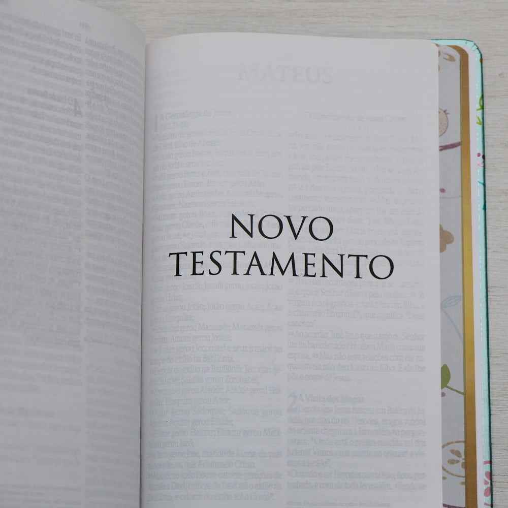 Bíblia Um Tempo Especial com Deus | NVI | Letra Grande | Capa Dura Pássaros