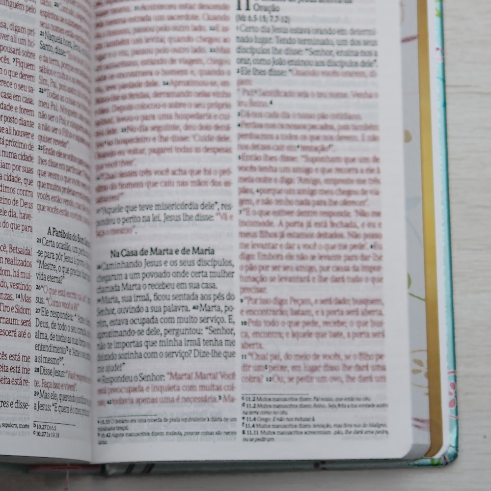 Bíblia Um Tempo Especial com Deus | NVI | Letra Grande | Capa Dura Pássaros