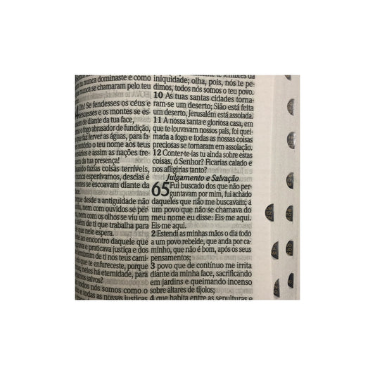 Bíblia Sagrada com Harpa Avivada e Corinhos | ARC | Letra Hipergigante | C/ Índice Capa PU Vermelha Neon