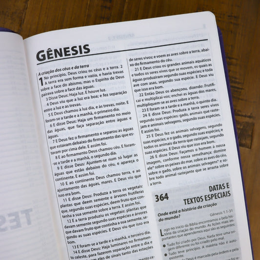 Bíblia de Estudo Esperança | A21 | Letra Normal | Capa Lilás