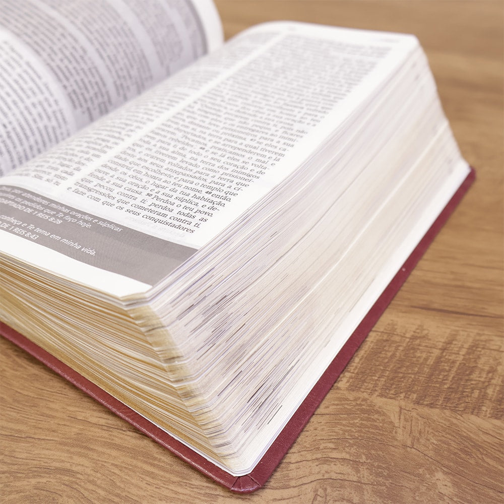 Bíblia De Estudo Joyce Meyer | NVI | Letra Média | Capa Marsala
