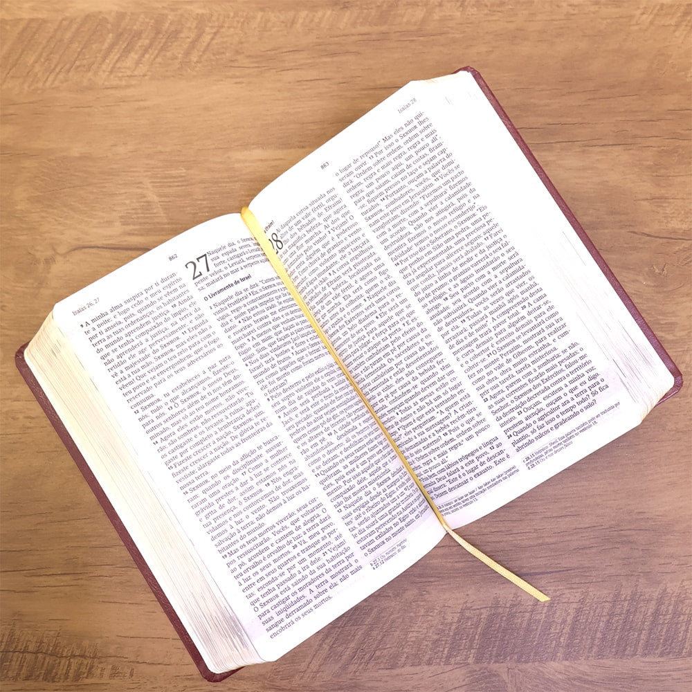 Bíblia De Estudo Joyce Meyer | NVI | Letra Média | Capa Marsala