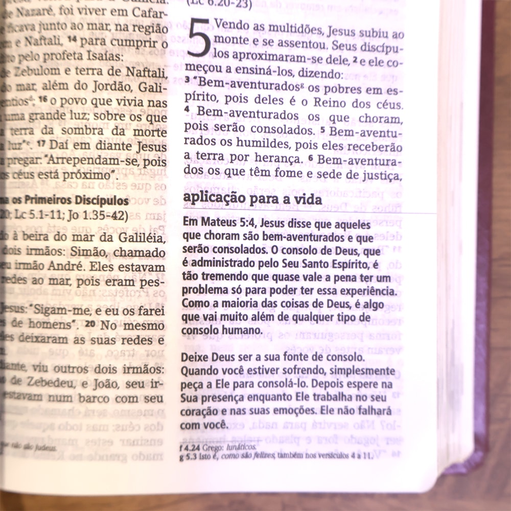 Bíblia De Estudo Joyce Meyer | NVI | Letra Média | Capa Marsala
