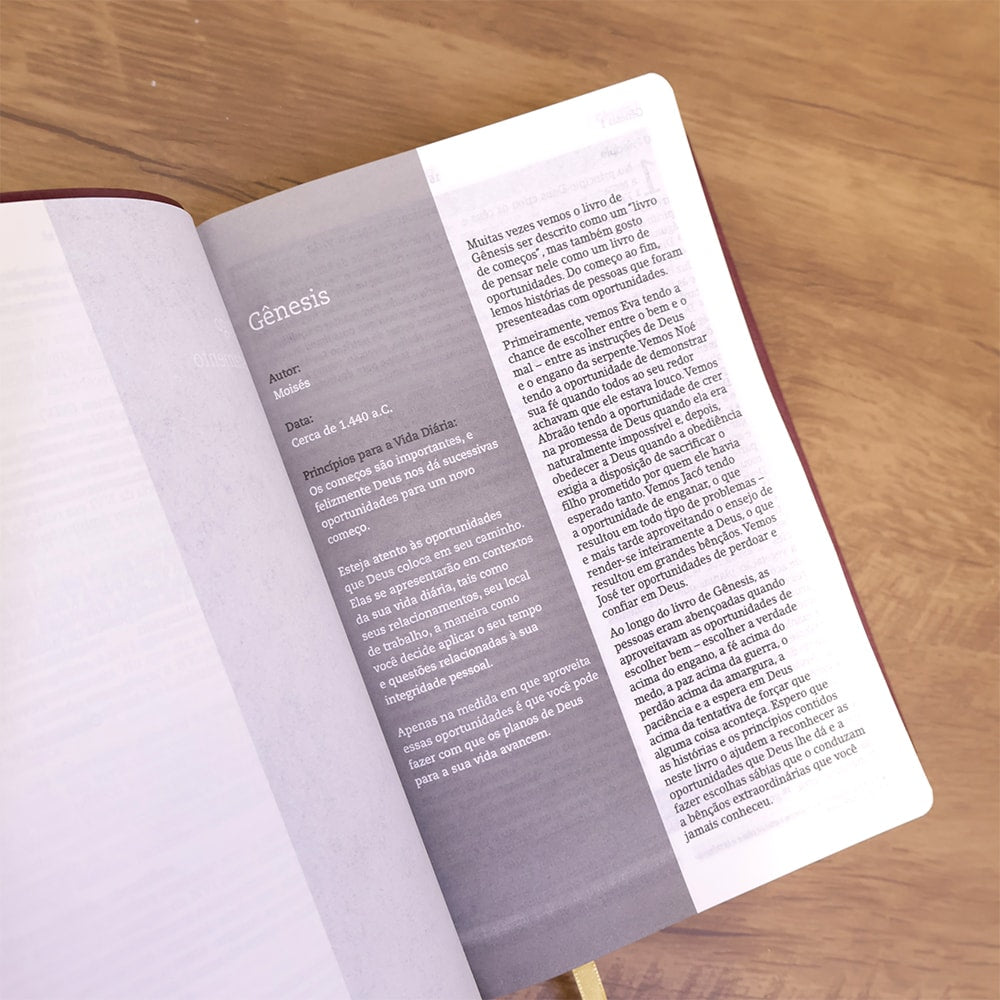 Bíblia De Estudo Joyce Meyer | NVI | Letra Média | Capa Marsala