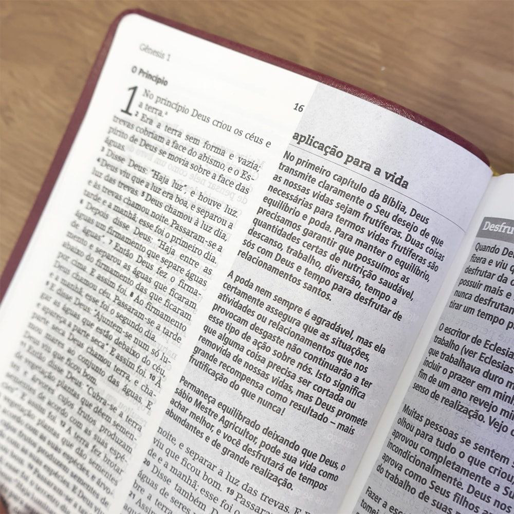 Bíblia De Estudo Joyce Meyer | NVI | Letra Média | Capa Marsala
