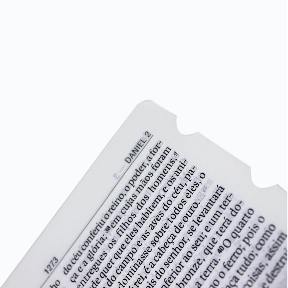 Bíblia Sagrada | NAA | Letra Gigante | Capa Pink Flor C/ Índice