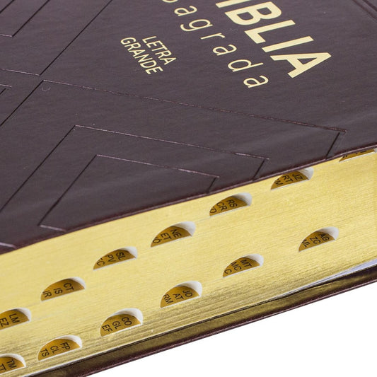 Bíblia Sagrada Nobre | NAA | Letra Grande | Capa Marrom Luxo