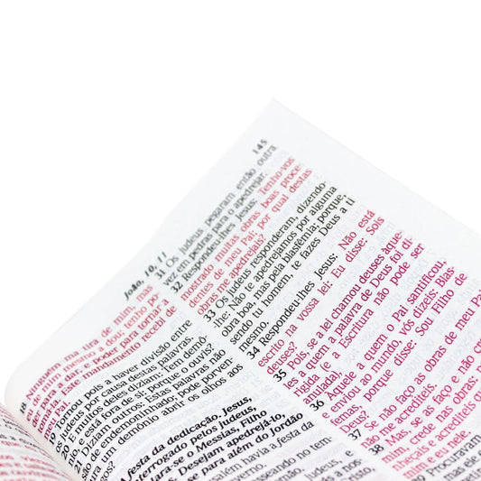 Bíblia Sagrada RC 1969 | ARC | Letra Normal | Capa Brochura Ilustrada Preta