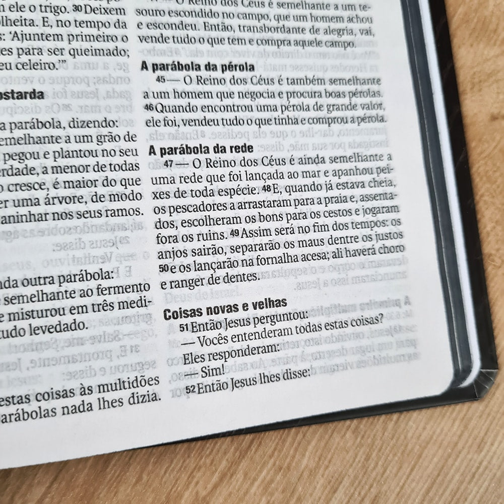 Bíblia Leão Preto e Branco | NAA | Letra Normal | Capa Dura Ilustrada