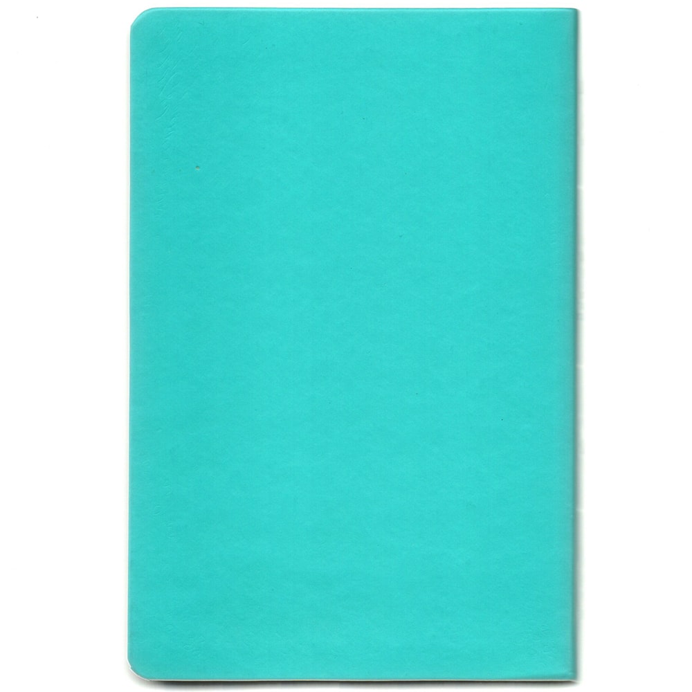Bíblia De Estudo Joyce Meyer | NVI | Letra Média | Capa Azul Tifany