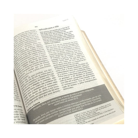 Bíblia De Estudo Joyce Meyer | NVI | Letra Média | Capa Azul Tifany