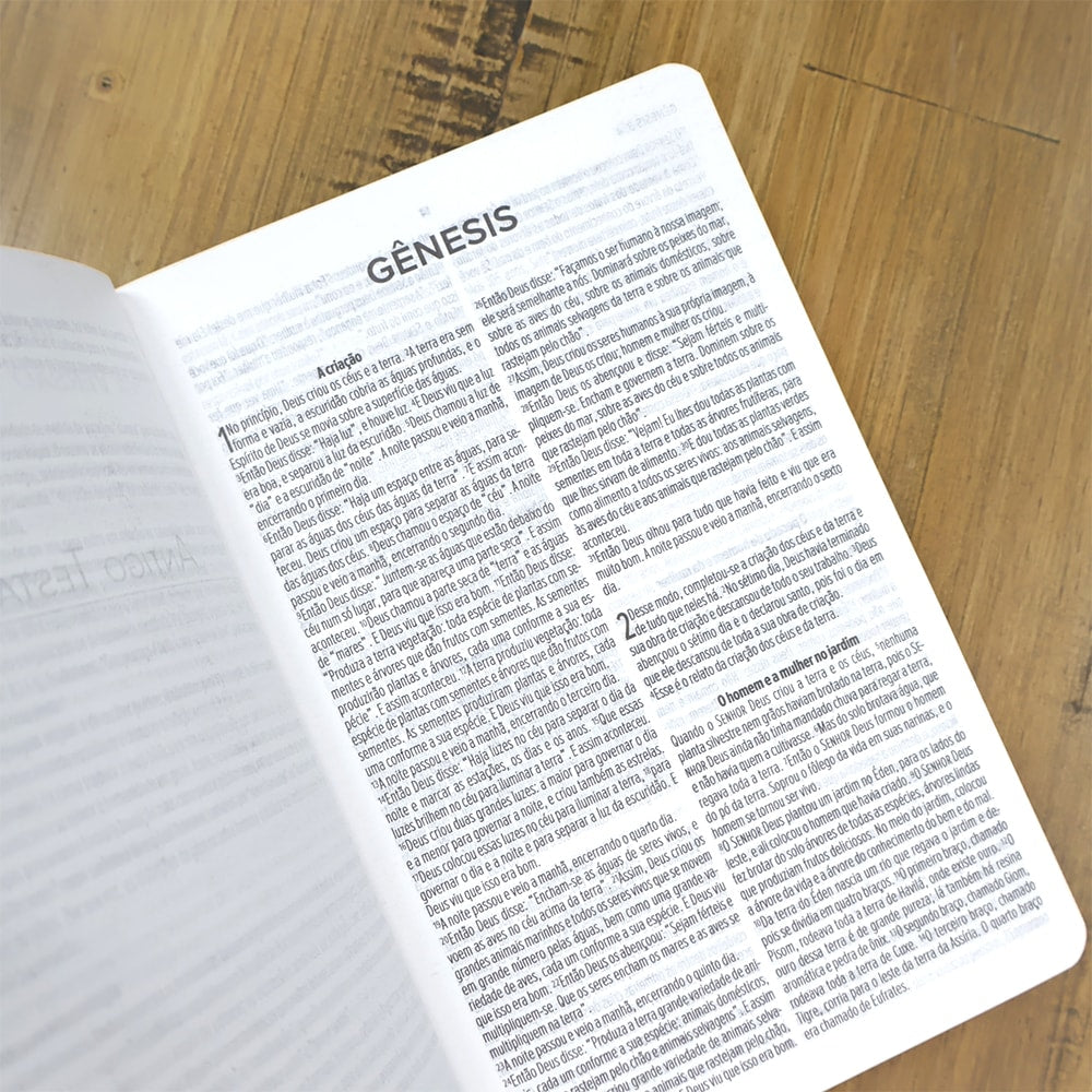 Bíblia Preta e Dourada | NVT | Letra Normal | Capa Dura Luxo
