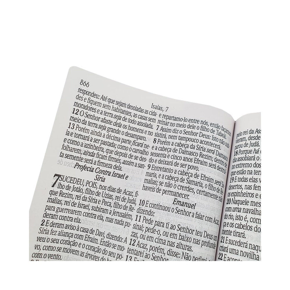 Bíblia Sagrada Letra Jumbo | ARC | Harpa Avivada e Corinhos | Capa PU Luxo Ramos Rosa