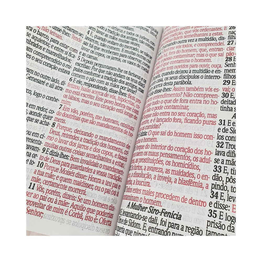 Bíblia Sagrada Letra Jumbo | ARC | Harpa Avivada e Corinhos | Capa PU Luxo Ramos Rosa
