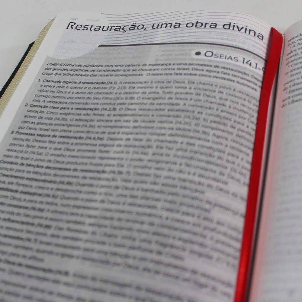 Bíblia Pregação Expositiva | ARA | Letra Normal | PU luxo preta | Hernandes Dias Lopes