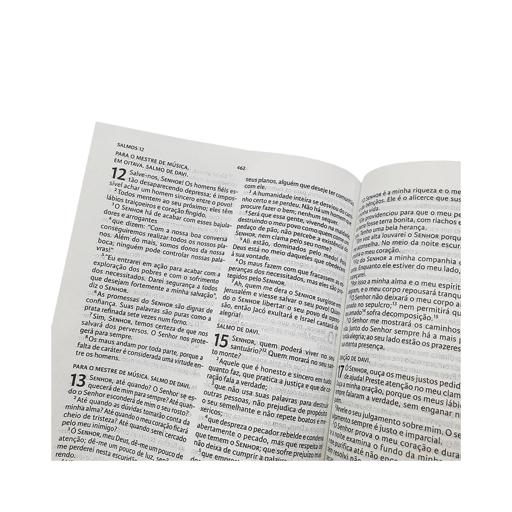 Nova Bíblia Viva Leão de Judá | NBV | Letra Normal | Capa Brochura