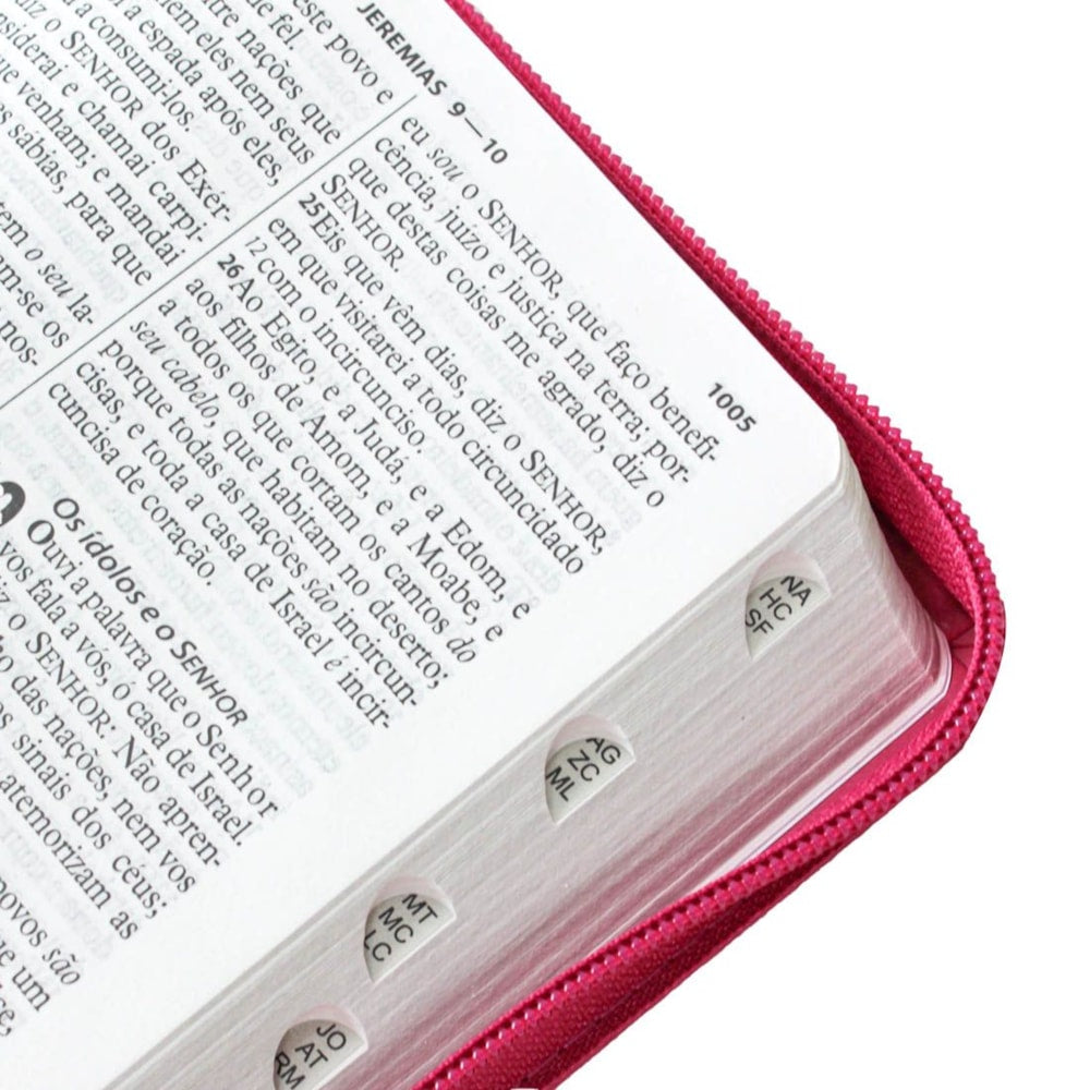 Bíblia Sagrada Raminhos | ARC | Letra Grande | Capa Pink C/ Zíper e Índice