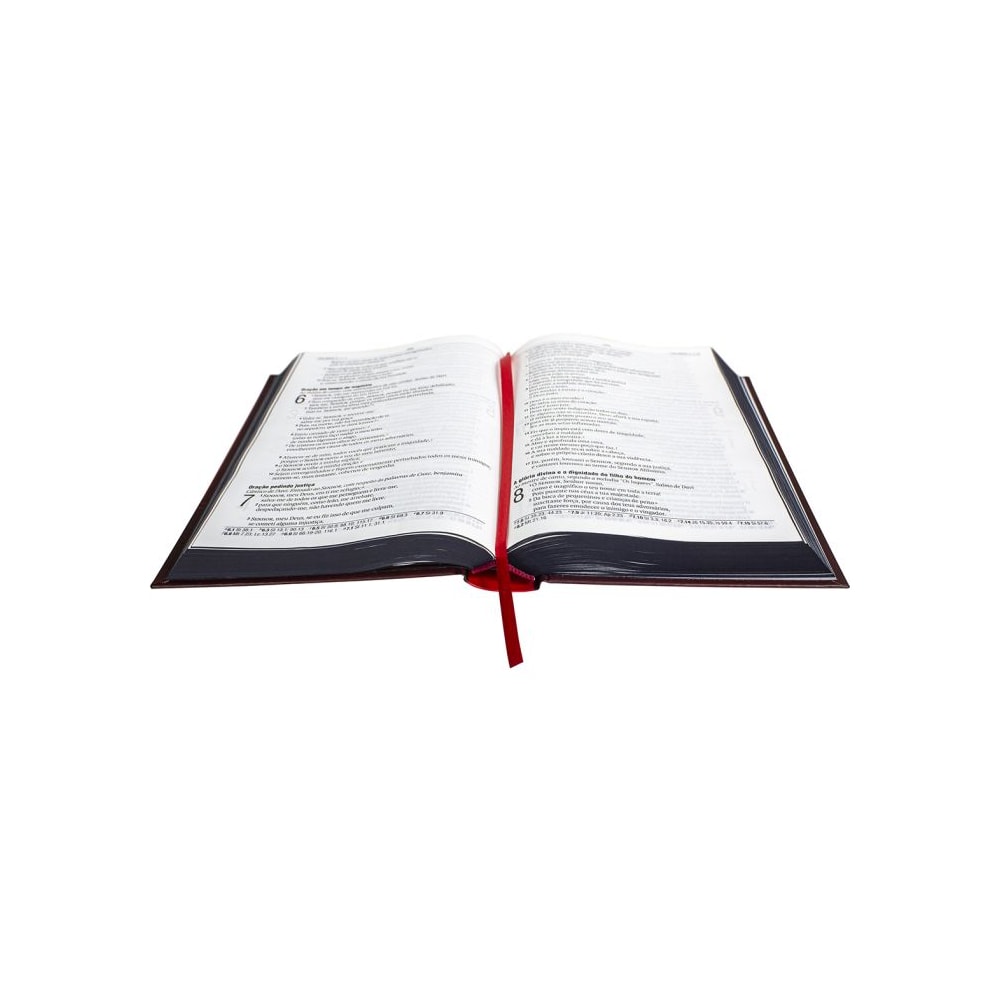 Bíblia Jesus Saves | NAA | Letra Grande | Capa Dura Vermelha