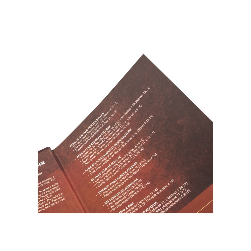 Bíblia Jesus Saves | NAA | Letra Grande | Capa Dura Vermelha