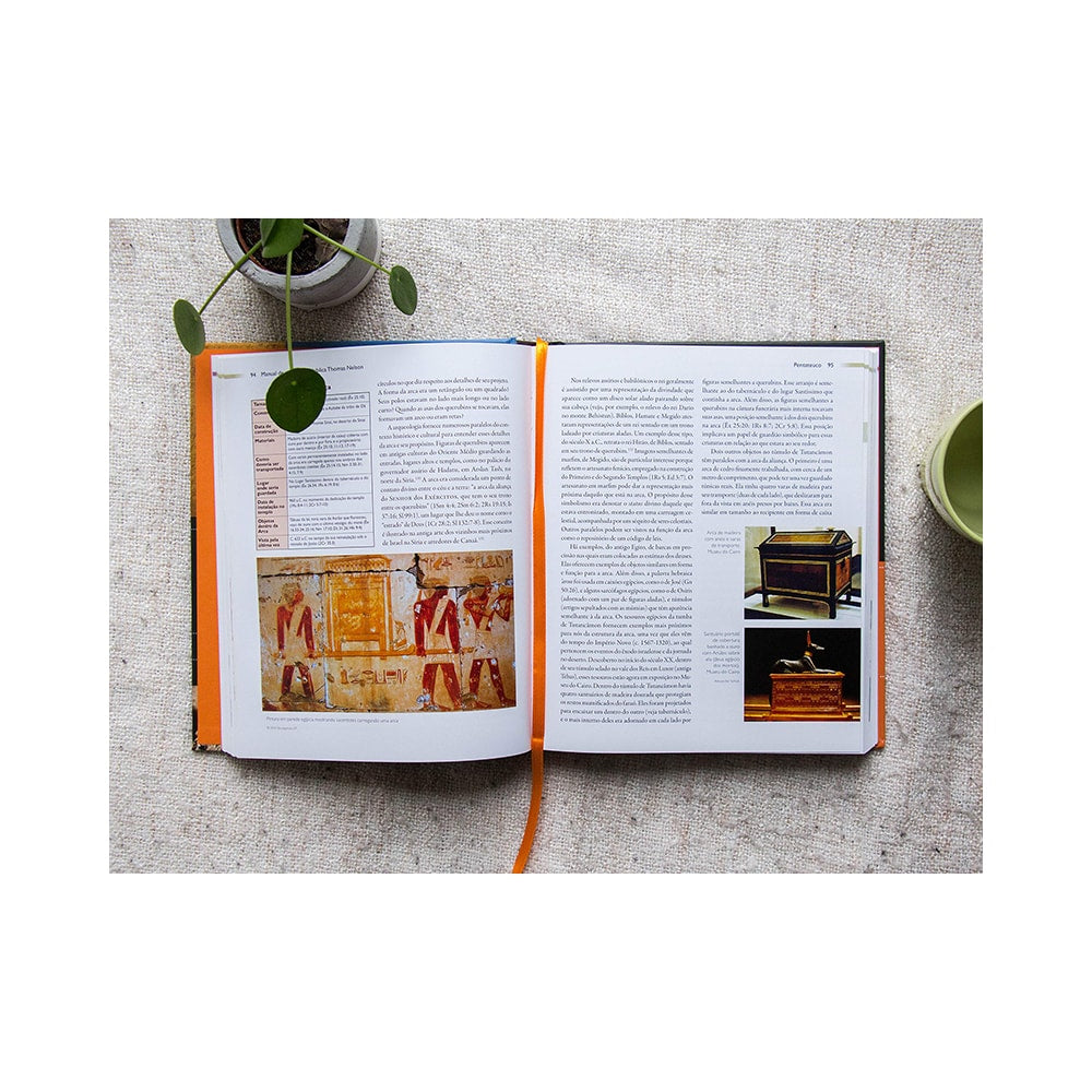 Manual de arqueologia bíblica Thomas Nelson | Randall Price