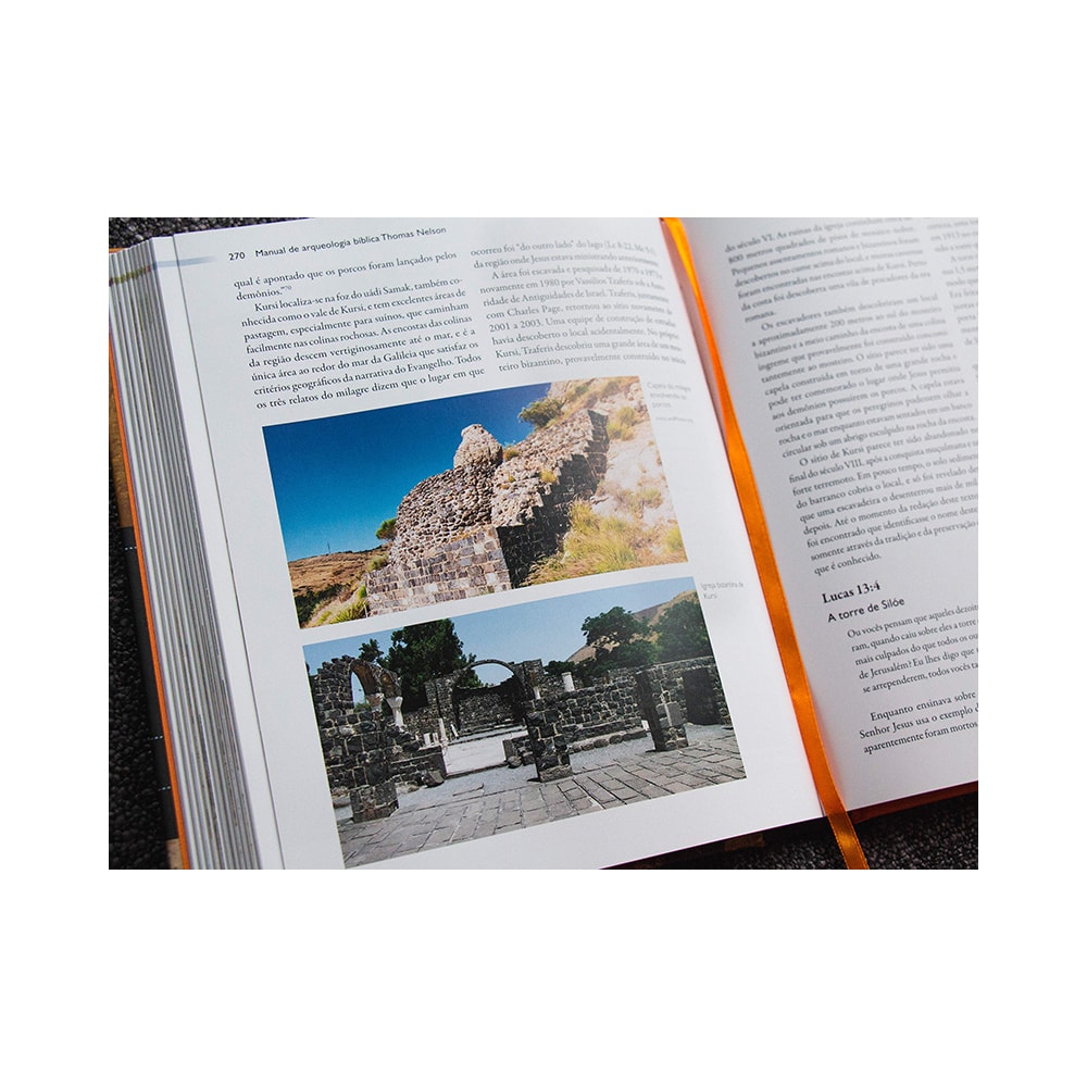 Manual de arqueologia bíblica Thomas Nelson | Randall Price