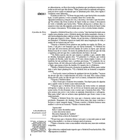 Bíblia The Way O Caminho | NTLH | Letra Média | Capa Flexível