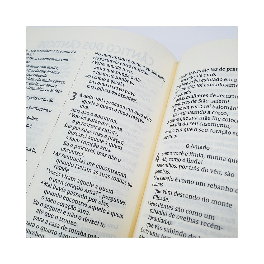 Bíblia Sagrada | NVI | Letra Normal | Espaço Anotações | Capa Soft Flores