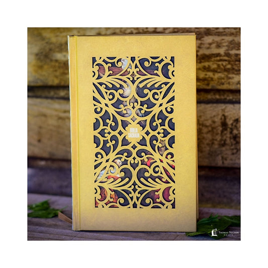 Bíblia Sagrada Jesus Cristo Artística | NVI | Letra Normal | Capa Dura Dourada