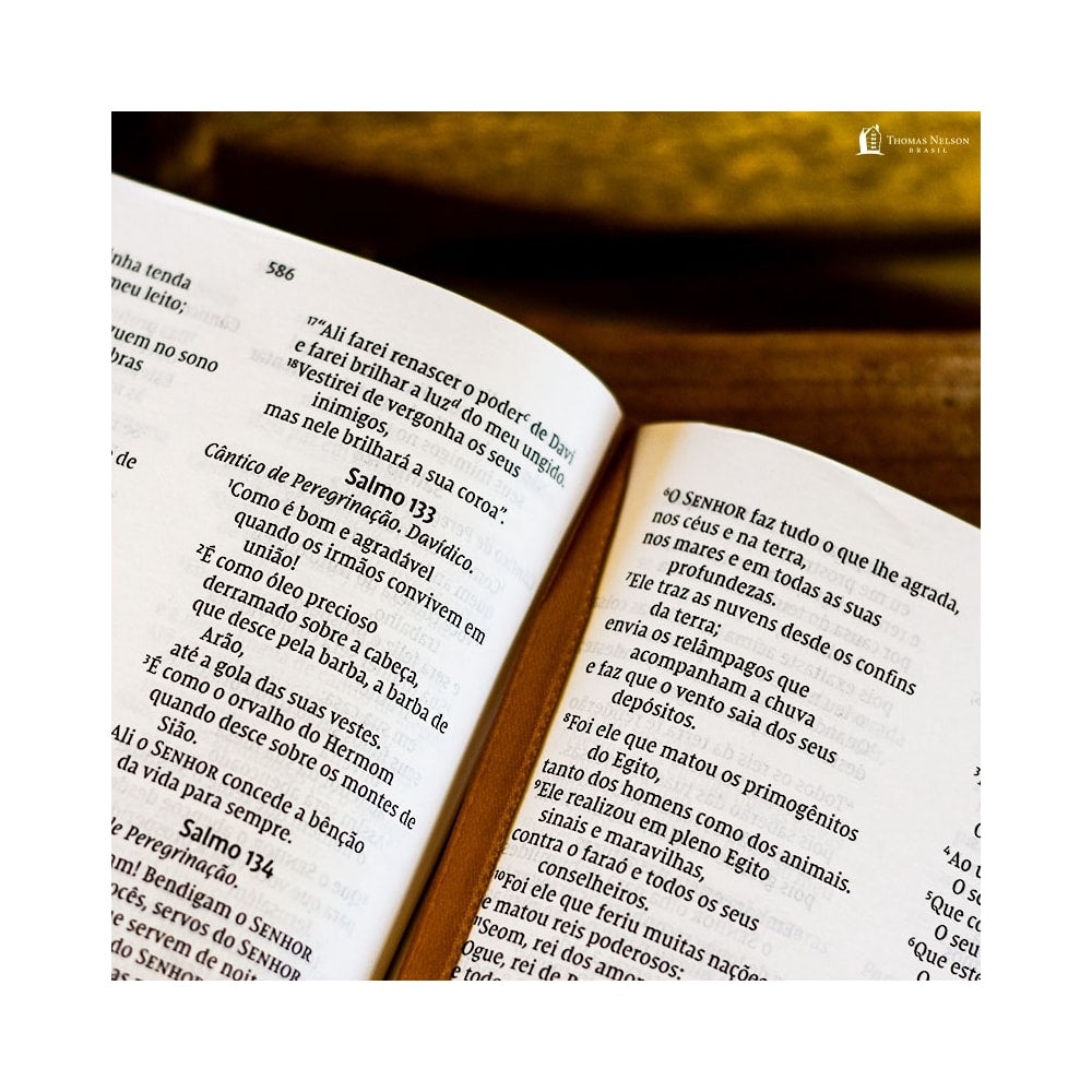 Bíblia Sagrada Jesus Cristo Artística | NVI | Letra Normal | Capa Dura Dourada