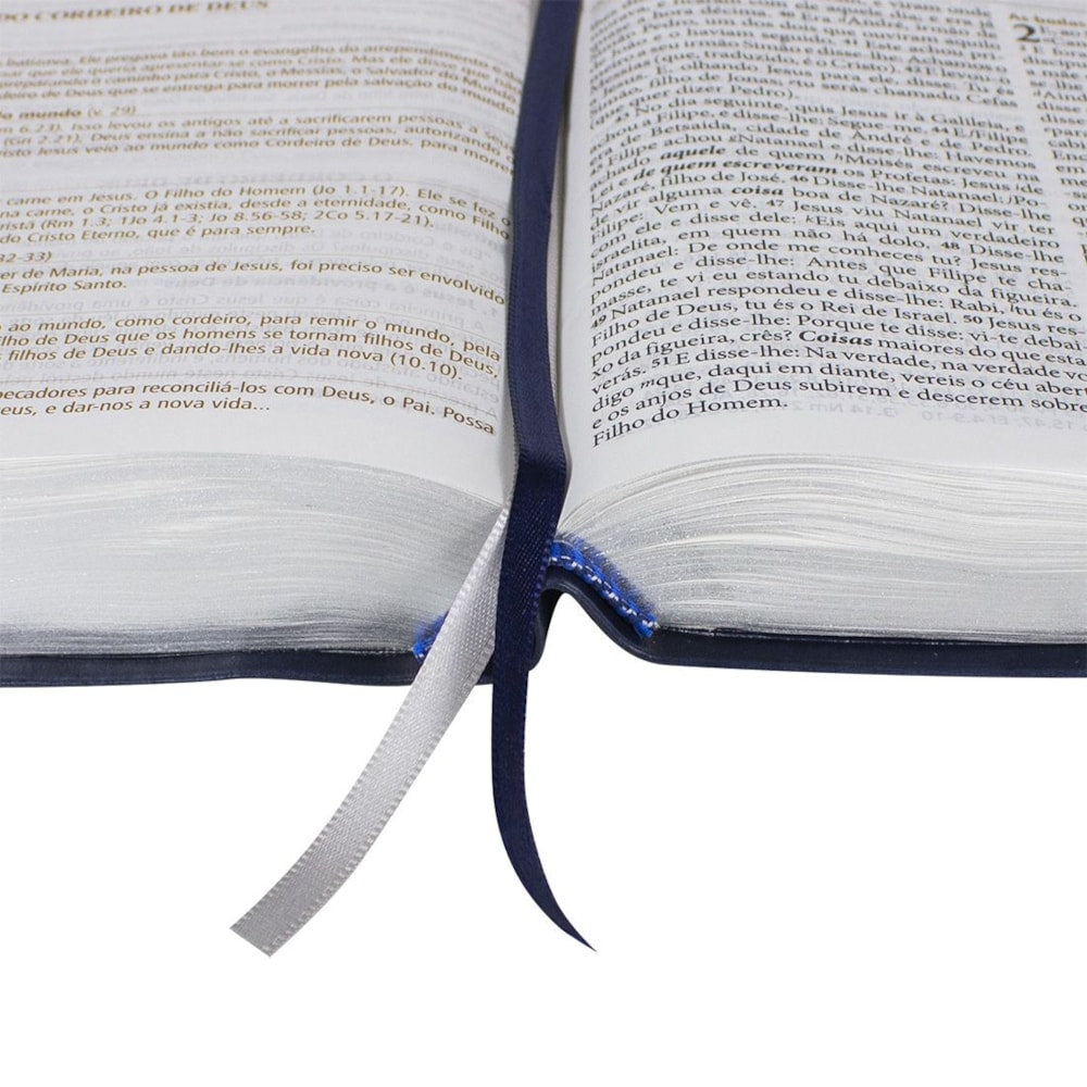 Bíblia de Estudo Pregando com Poder | ARC | Letra Normal | Capa Azul Nobre