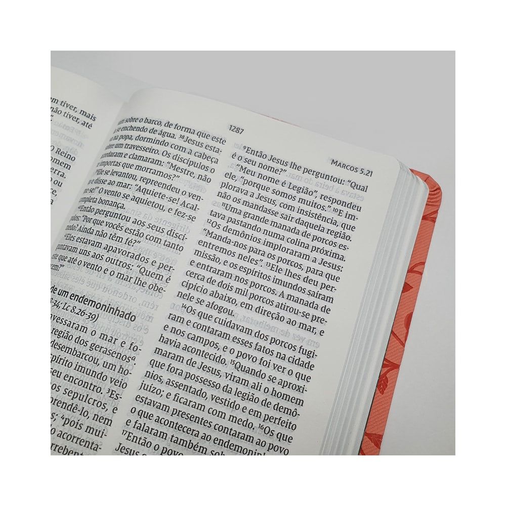 Bíblia Sagrada Folhagem | NVI | Letra Grande | Capa Verde e Rosa