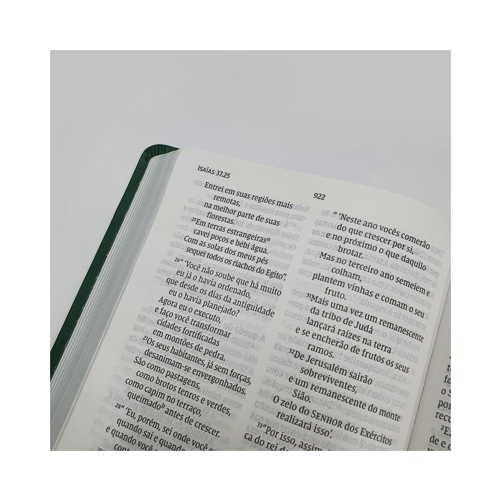 Bíblia Sagrada Folhagem | NVI | Letra Grande | Capa Verde e Rosa