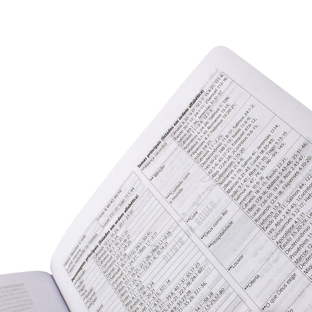 Bíblia Sagrada Jornada | NAA | Letra Normal | Capa Preta Edição Luxo