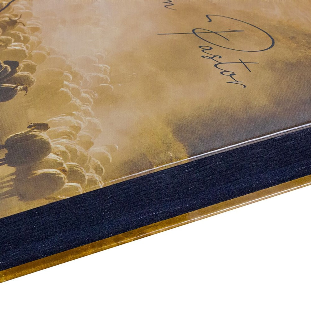 Bíblia Sagrada para Evangelismo Bom Pastor | ARC | Letra Normal | Capa Dura