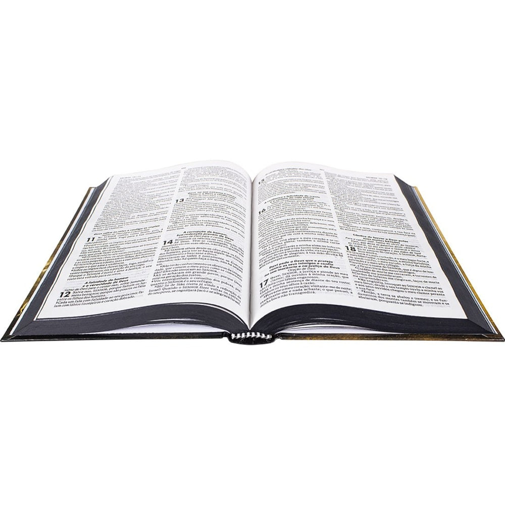 Bíblia Sagrada para Evangelismo Bom Pastor | ARC | Letra Normal | Capa Dura