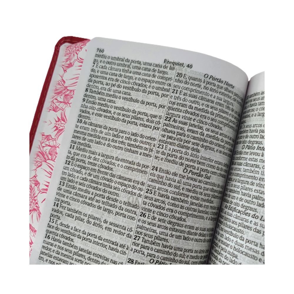 Bíblia Sagrada | ARC | Letra Gigante | PJD | Harpa Avivada e Corinhos | Capa Luxo Floral Vermelha