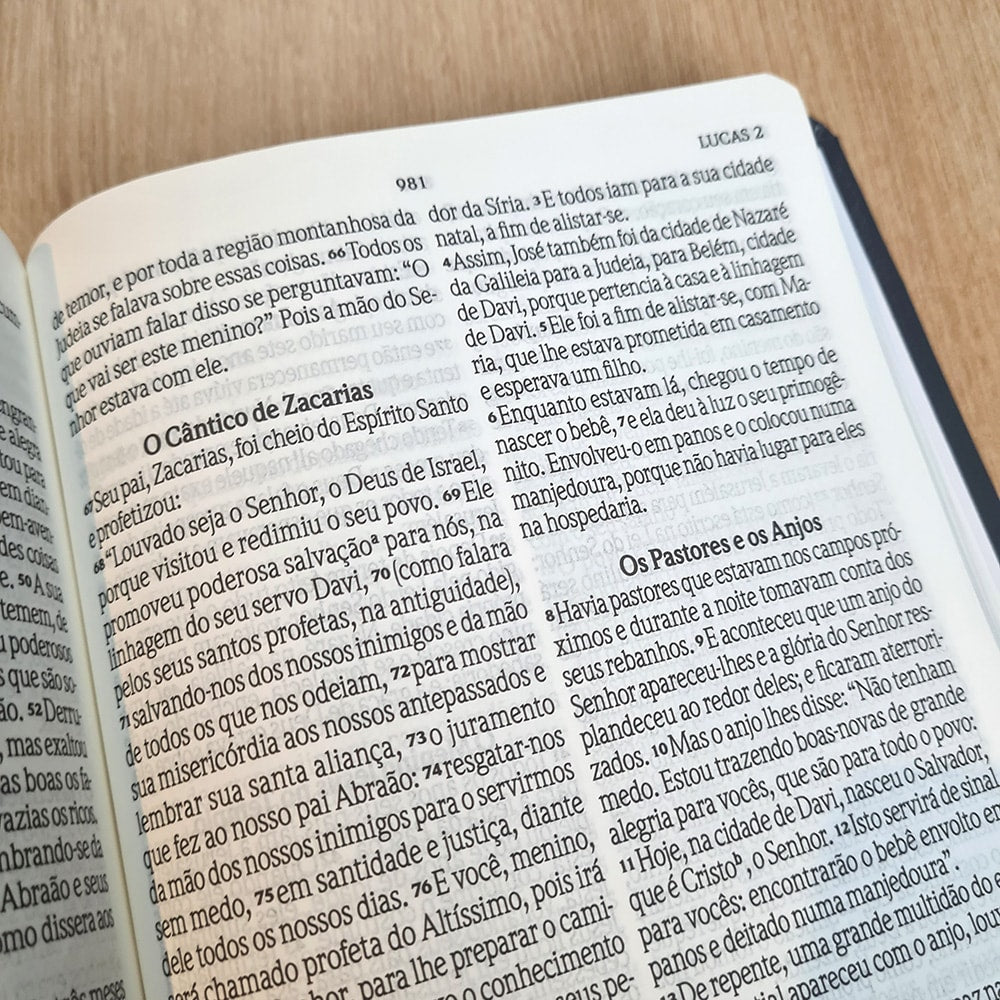 Bíblia Sagrada | NVI | Letra Gigante | Capa Luxo Azul